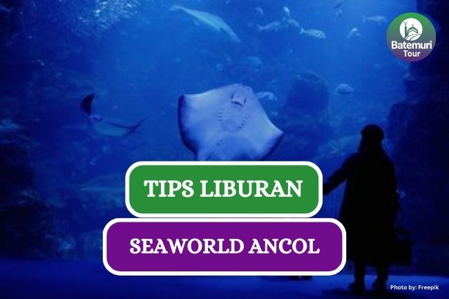 Tips dan Panduan Lengkap Liburan ke Seaworld Ancol